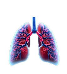 Lungs Care
